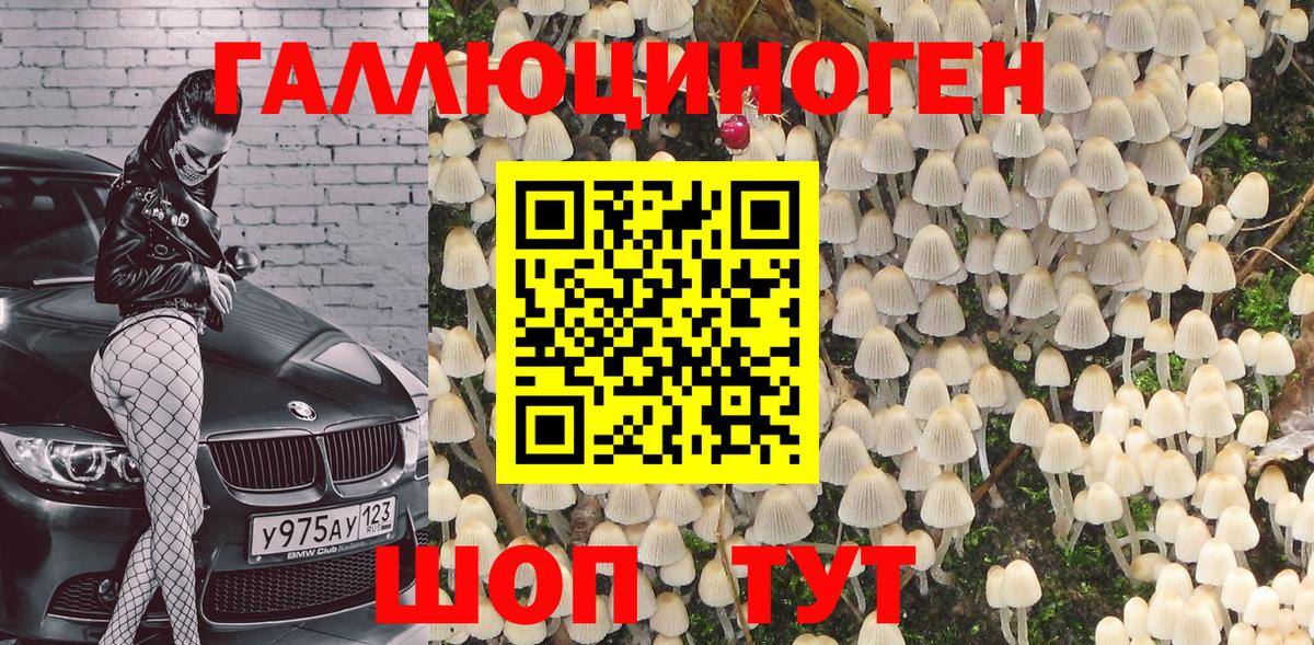 Галлюциногенные грибы GOLDEN TEACHER Красногорск